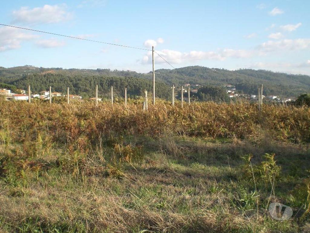 Terrenos Guimarães - Fotos para Guimaraes-Lote de terreno (245-T-00187)