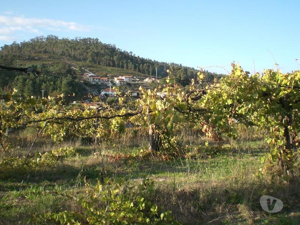 Terrenos Guimarães - Fotos para Guimaraes-Lote de terreno (245-T-00188)