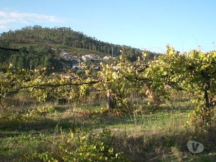 Terrenos a venda - Fotos para Guimaraes-Lote de terreno (245-T-00188)