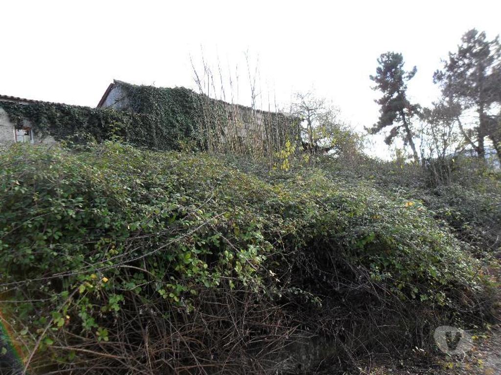 Terrenos Guimarães - Fotos para Guimaraes-Terreno construção industrial (245-T-00176)