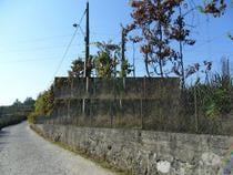 Guimaraes-Terreno rústico (245-T-00418)