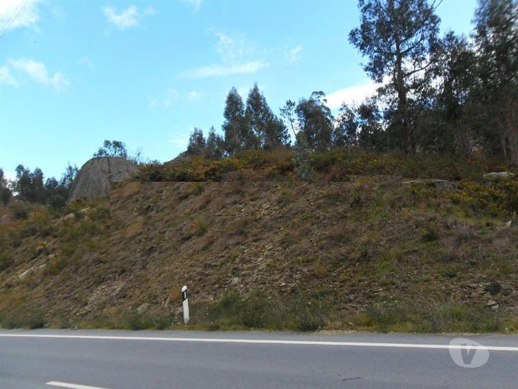 Terrenos Guimarães - Fotos para Guimaraes-Terreno florestal (245-T-00422)