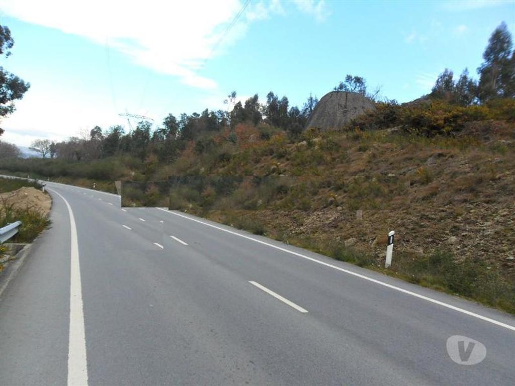 Terrenos Guimarães - Fotos para Guimaraes-Terreno florestal (245-T-00422)
