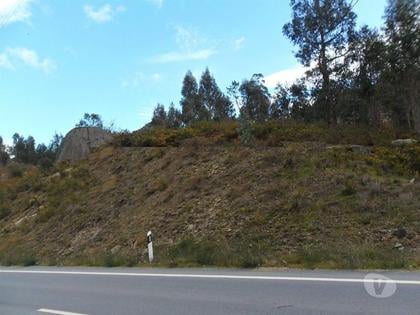 Terrenos a venda - Fotos para Guimaraes-Terreno florestal (245-T-00422)