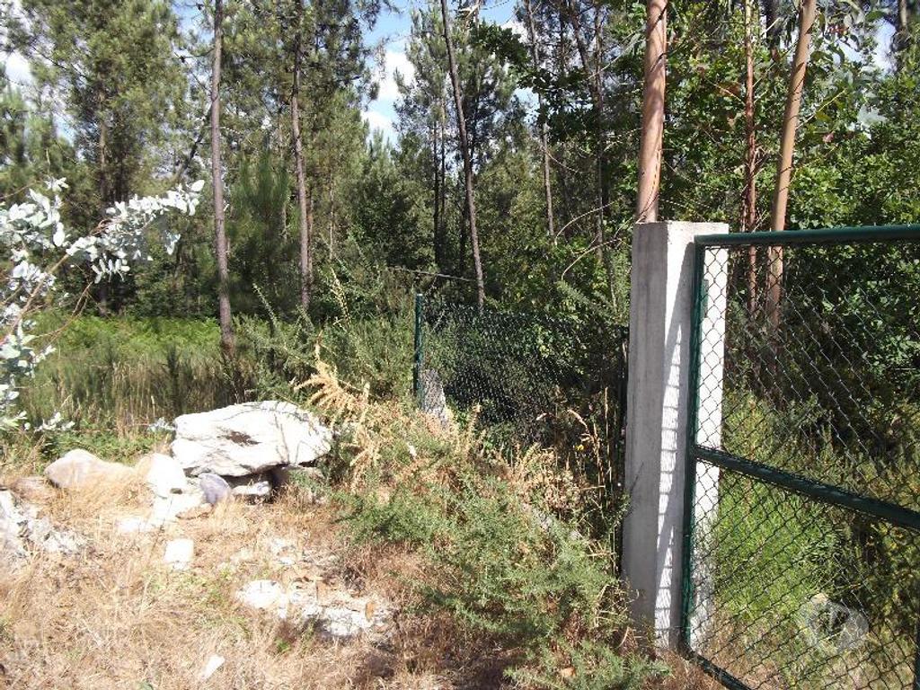 Terrenos Guimarães - Fotos para Guimaraes-Terreno agrícola (245-T-00201)