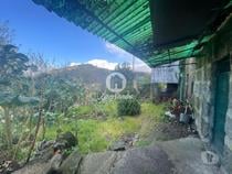Guimaraes-Moradia para recuperar (245-M-01642)