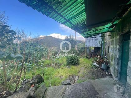 Apartamentos para vender - Fotos para Guimaraes-Moradia para recuperar (245-M-01642)