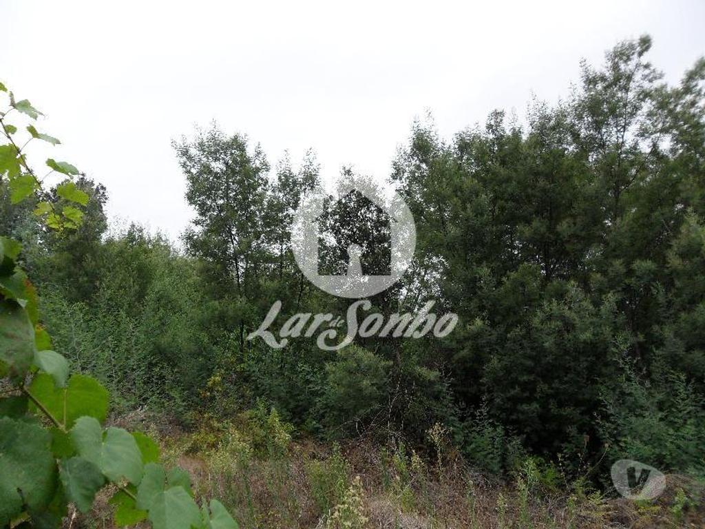 Terrenos Guimarães - Fotos para Guimaraes-Lote para construção de moradia (245-T-01657)