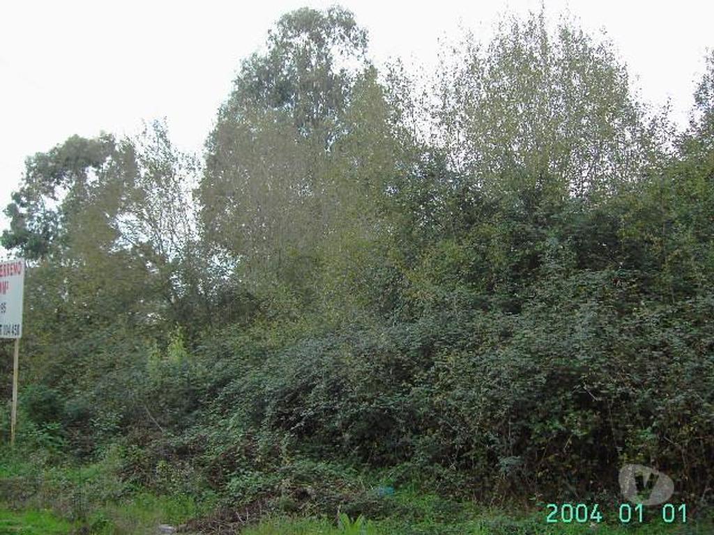 Terrenos Guimarães - Fotos para Guimaraes-Terreno com projeto (245-T-00017)