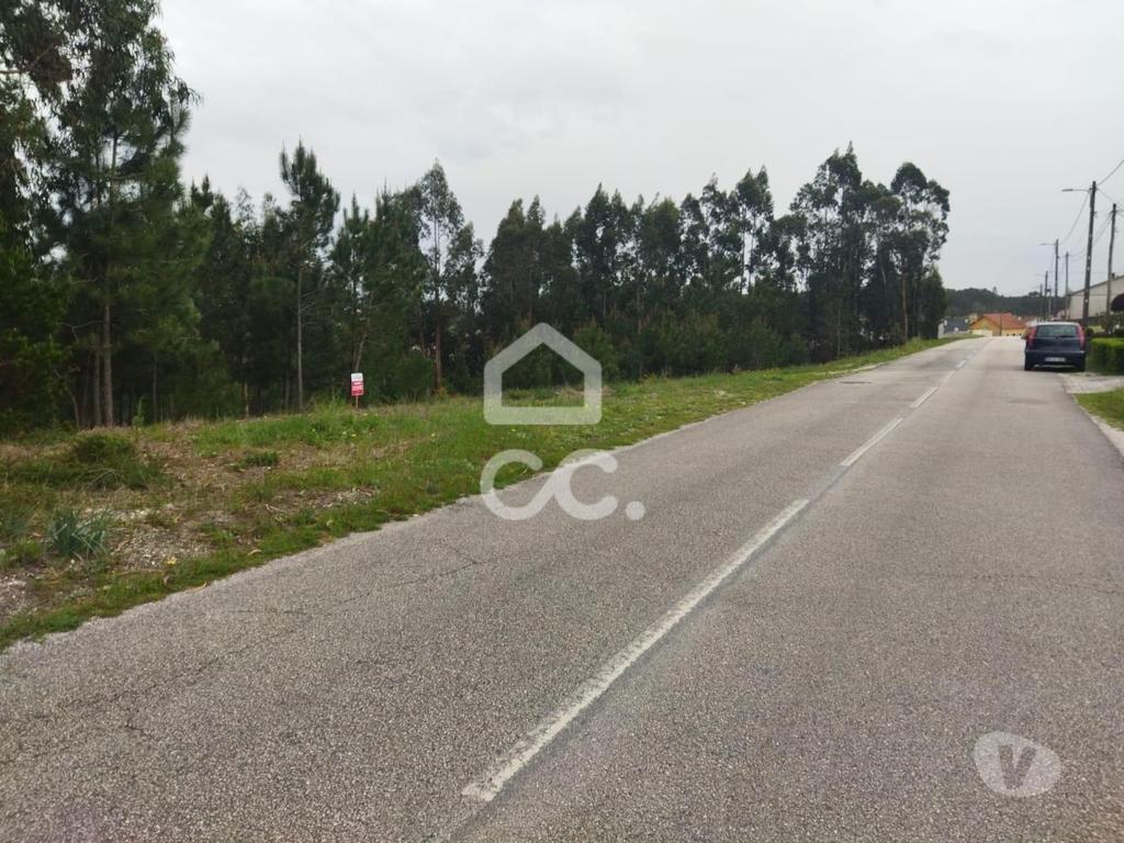 Terrenos Leiria - Fotos para Terreno com a área de 8.000 m2 com viabilidade de construção