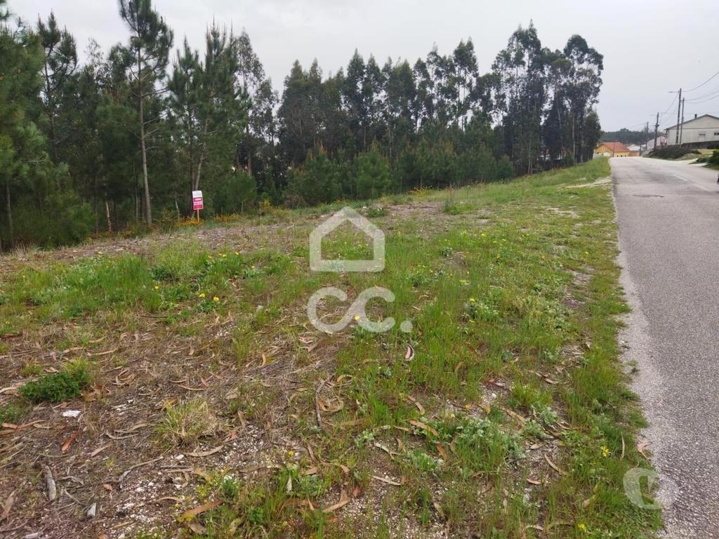 Terrenos Leiria - Fotos para Terreno com a área de 8.000 m2 com viabilidade de construção