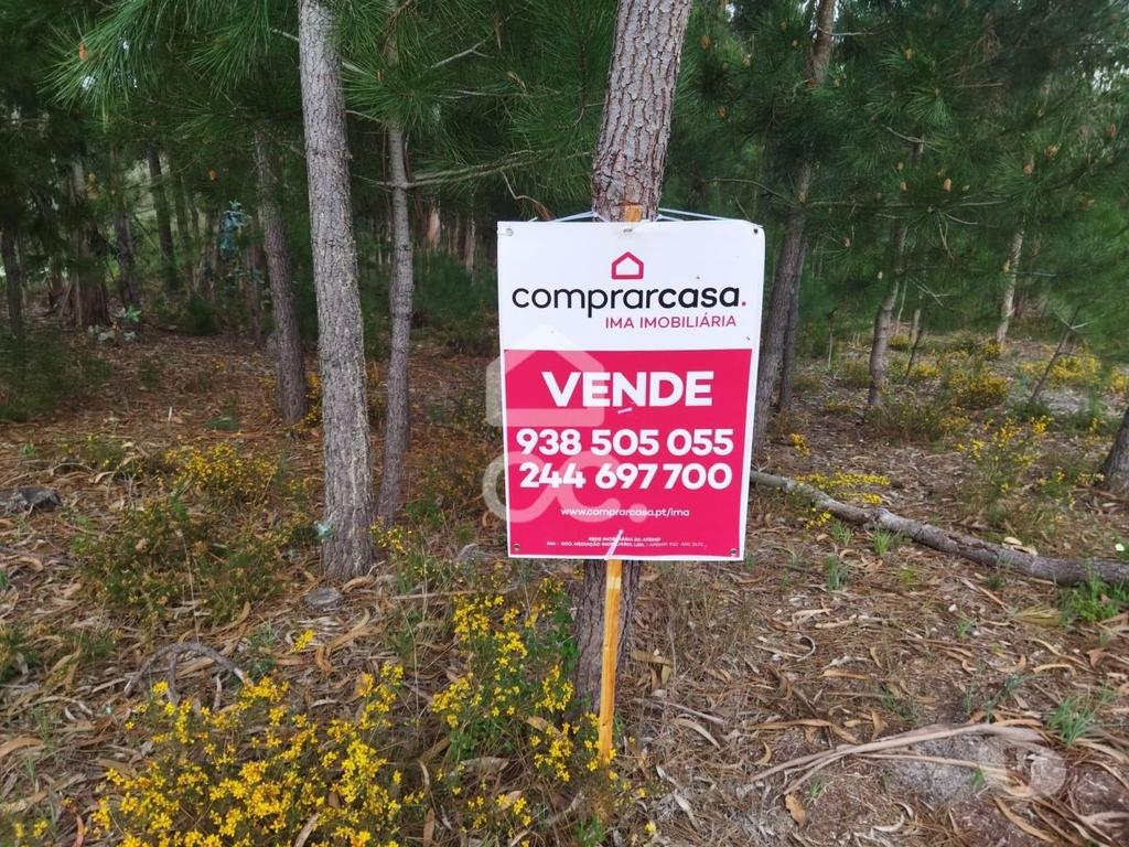 Terrenos Leiria - Fotos para Terreno com a área de 8.000 m2 com viabilidade de construção