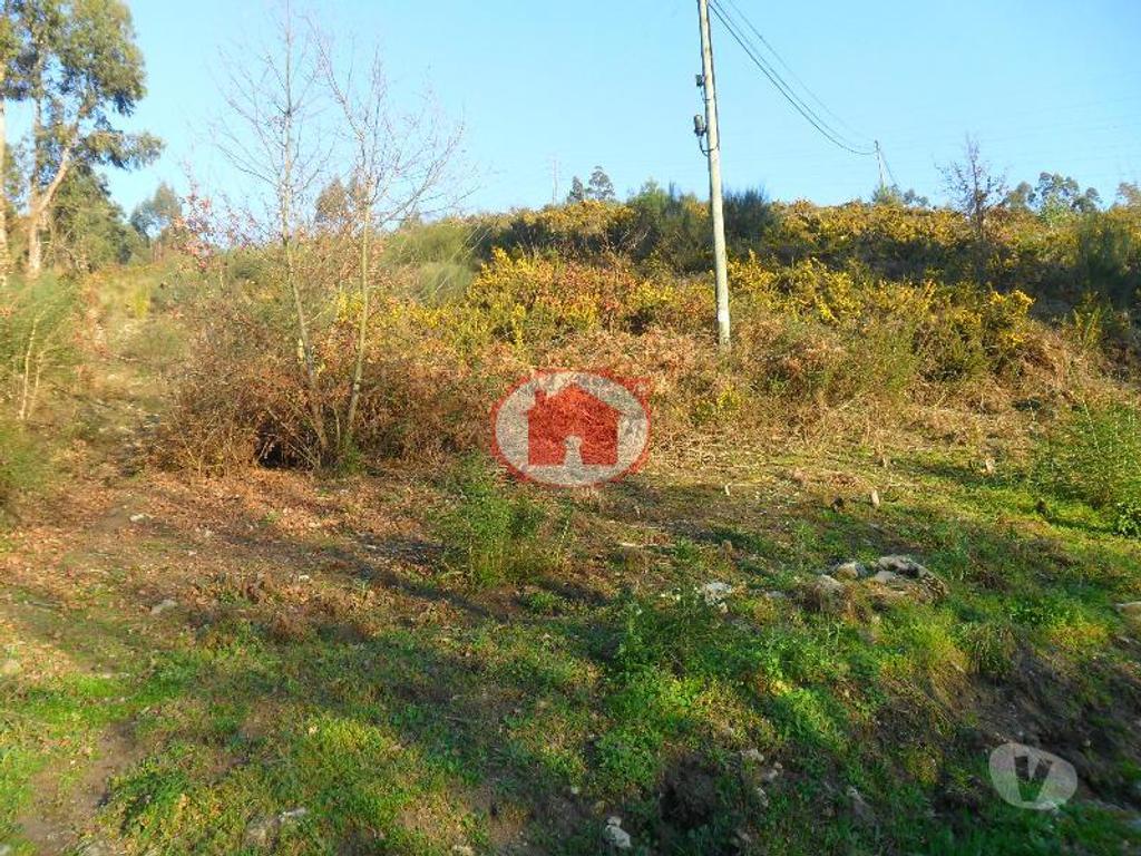 Terrenos Vizela - Fotos para Vizela-Excelente terreno (245-T-00736)