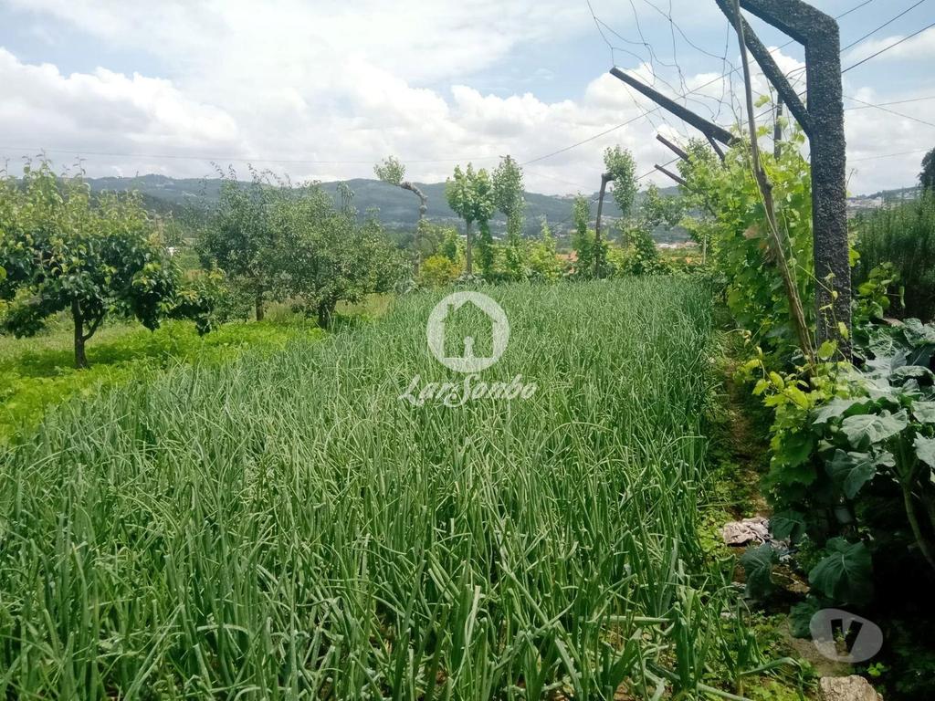 Terrenos Guimarães - Fotos para Guimaraes-Fantástica quinta para remodelar (245-Q-01592)