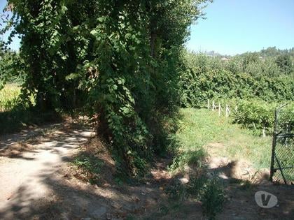 Terrenos a venda - Fotos para Guimaraes-Terreno agrícola (245-T-00197)