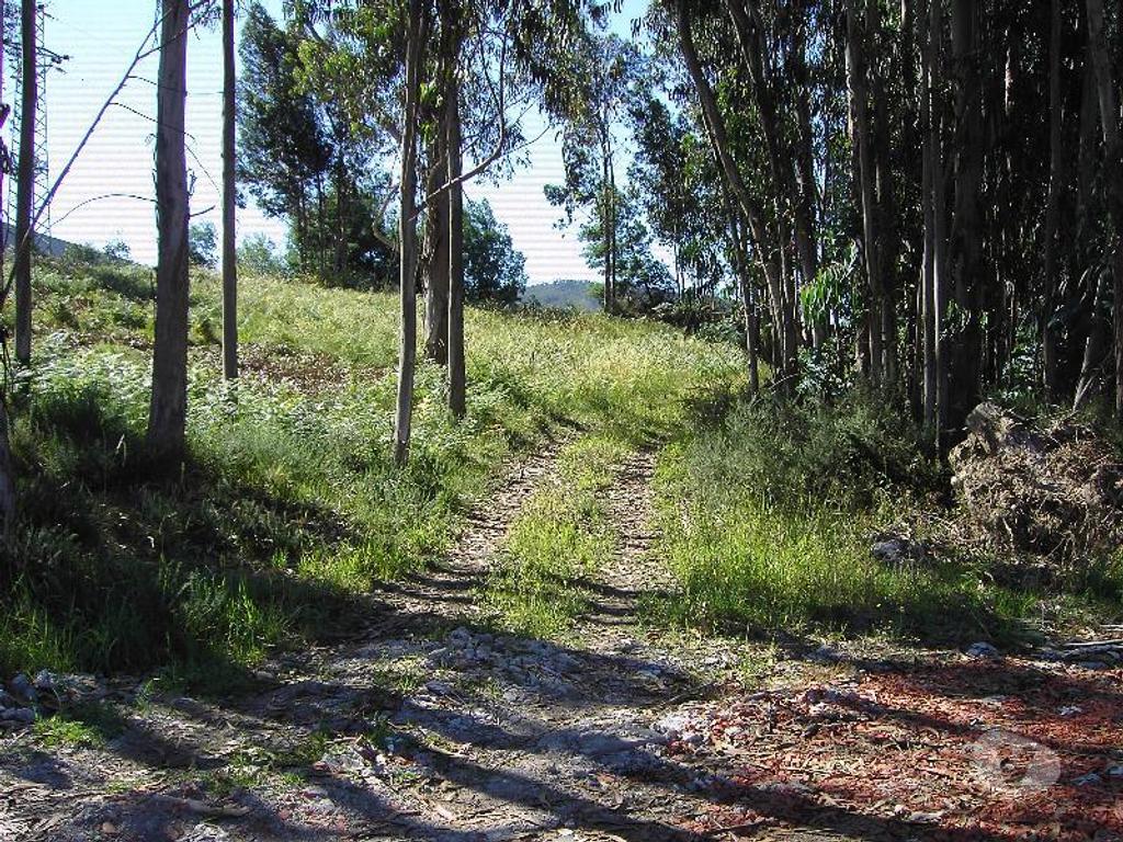 Terrenos Guimarães - Fotos para Guimaraes-Terreno industrial (245-T-00166)