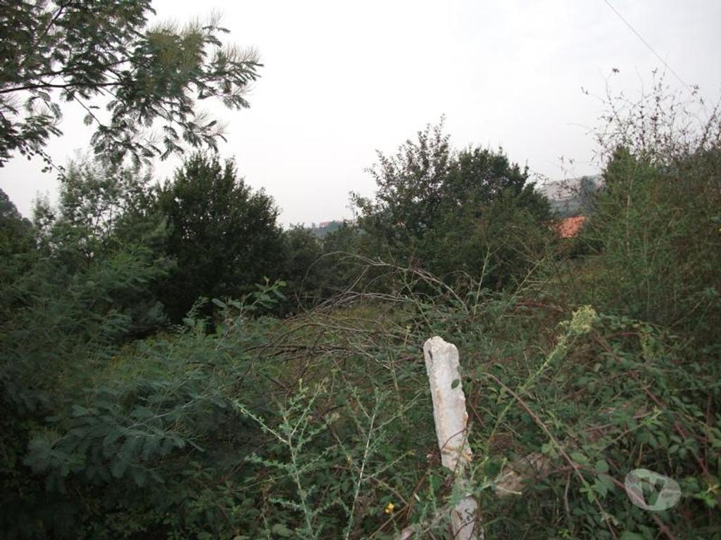 Terrenos Guimarães - Fotos para Guimaraes-Terreno para construção (245-T-00179)