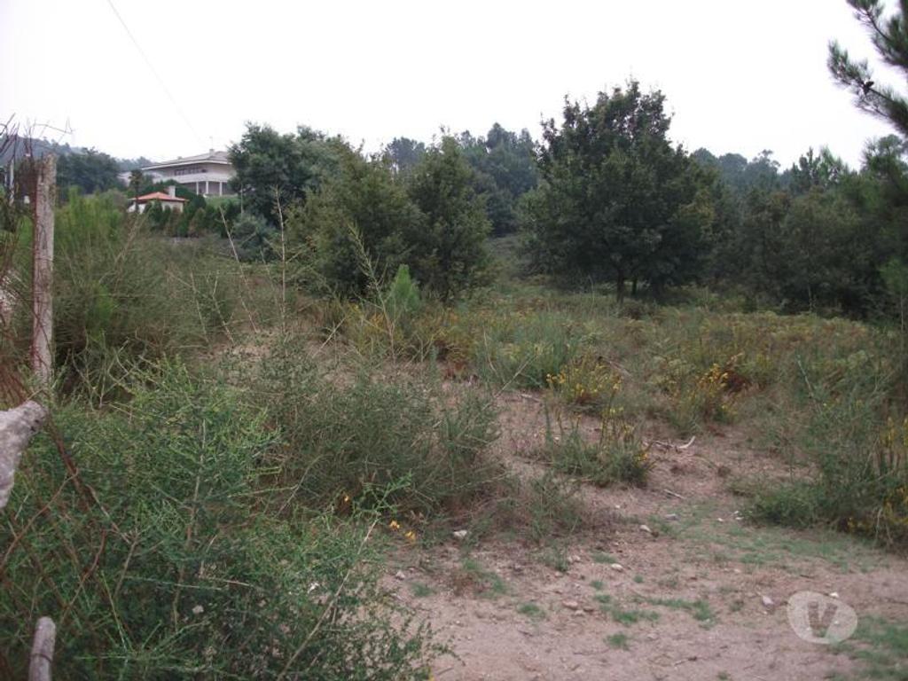 Terrenos Guimarães - Fotos para Guimaraes-Terreno para construção (245-T-00179)