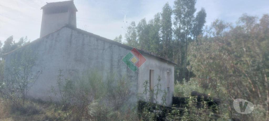 Terrenos Portalegre - Fotos para Quinta, para venda, Portalegre - Reguengo e São Julião (JL.11230)