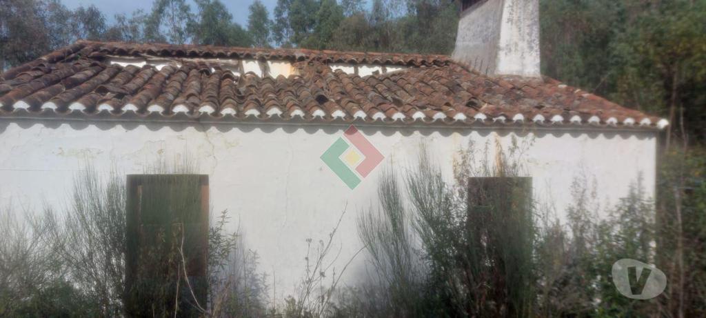 Terrenos Portalegre - Fotos para Quinta, para venda, Portalegre - Reguengo e São Julião (JL.11230)