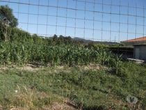 Guimaraes-Terreno para construção (245-T-00200)