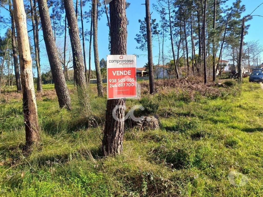 Terrenos Leiria - Fotos para VENDE-SE--- Terreno com a área de 1905 m2 , com 51,50 m2 de