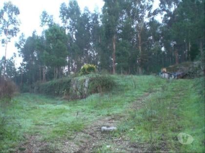 Terrenos e Quintas - Fotos para Guimaraes-Terreno para construção (245-T-00357)