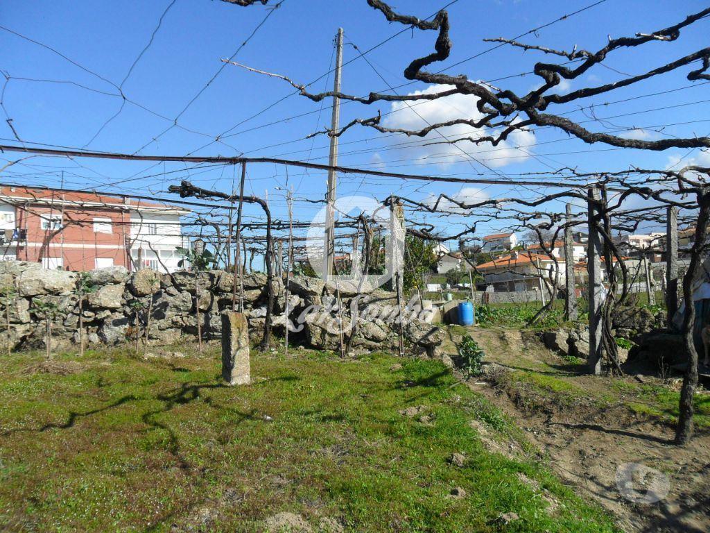 Terrenos Guimarães - Fotos para Guimaraes-Quinta Rústica (245-Q-01212)
