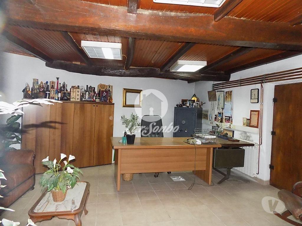 Terrenos Vila Nova de Famalicão - Fotos para Quintinha com indústria vinícola com área total 4.842m2 -