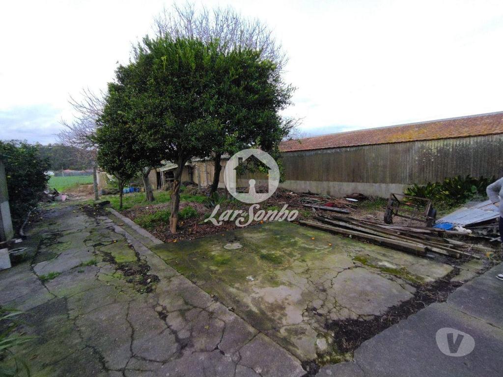 Apartamentos a venda Vila do Conde - Fotos para Moradia M3 c 4.900m2 de terreno em Aveleda- Vila do Conde