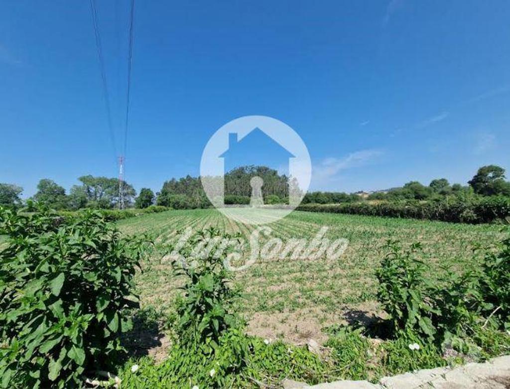 Terrenos Vila do Conde - Fotos para Terreno agrícola de 12.000m2 em Tougues - Vila do Conde