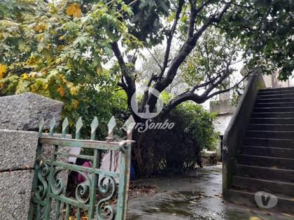Terrenos - Fotos para Quintinha com 2.400m2 no centro de Delães (240-Q-23994)