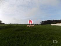 Oportunidade Única: Moradia para Restauro com 12.000 m2 de