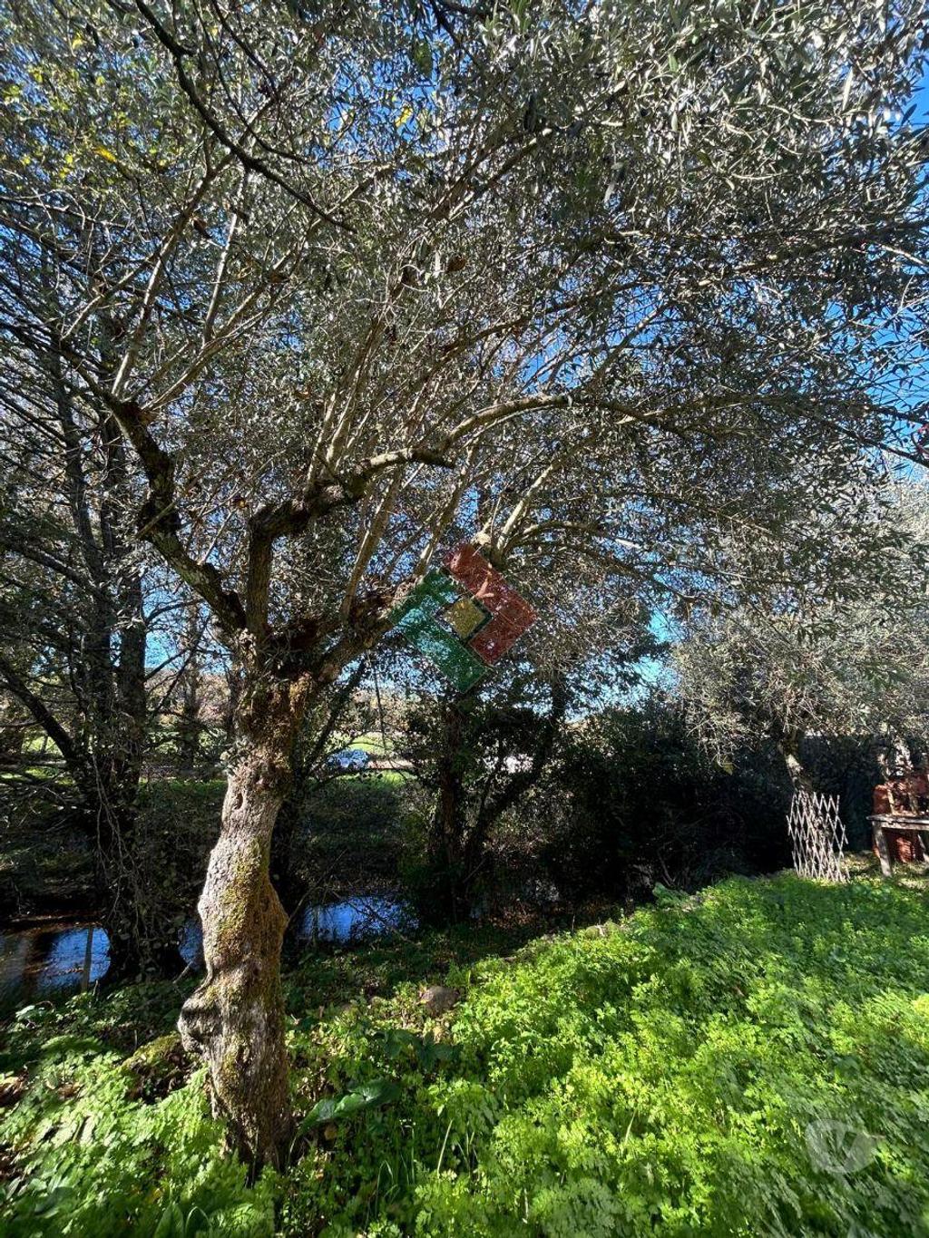 Apartamentos a venda Marvão - Fotos para Moradia individual, como nova, para venda, Marvão - S. Salvador