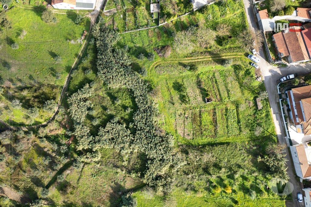 Terrenos Ourém - Fotos para Terreno para Construção com 3148m2 em Alburitel (1-T-000690)