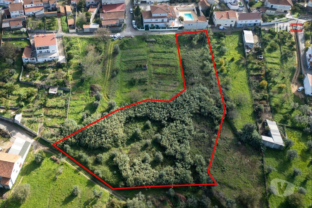 Terrenos Ourém - Fotos para Terreno para Construção com 3148m2 em Alburitel (1-T-000690)