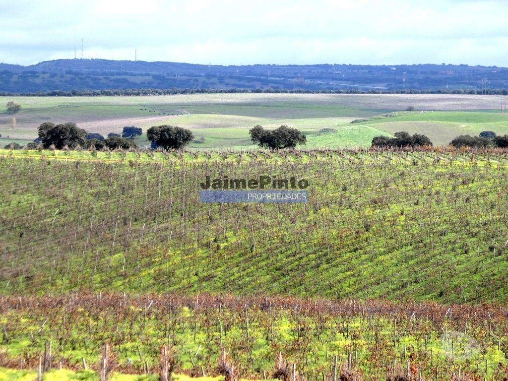 Terrenos Elvas - Fotos para Herdade 157ha, Vinha, Adega, Barragem, Ruínas. Portugal, Elvas.