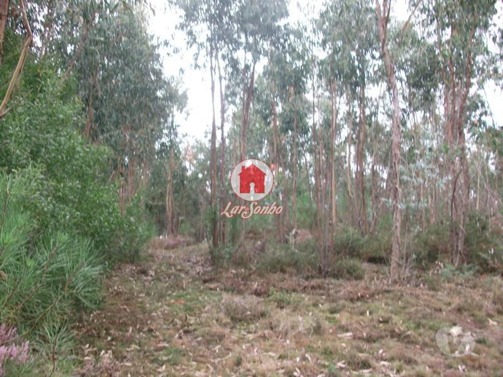 Terrenos Vila do Conde - Fotos para Terreno rustico com 17.000 m2 em Fornelo - Vila do Conde