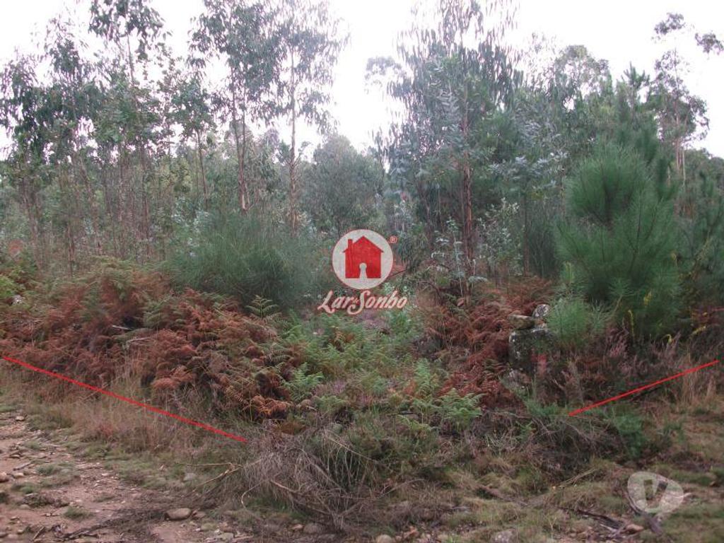 Terrenos Vila do Conde - Fotos para Terreno rustico com 17.000 m2 em Fornelo - Vila do Conde