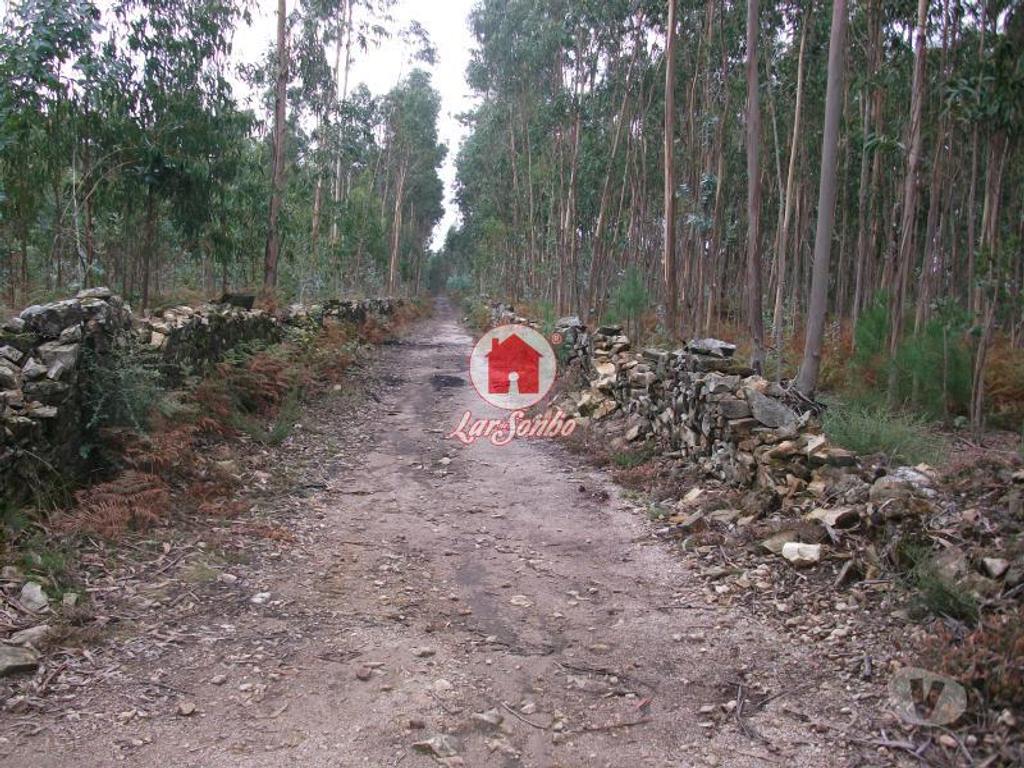 Terrenos Vila do Conde - Fotos para Terreno rustico com 17.000 m2 em Fornelo - Vila do Conde