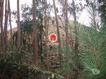 Terreno rustico com 17.000 m2 em Fornelo - Vila do Conde