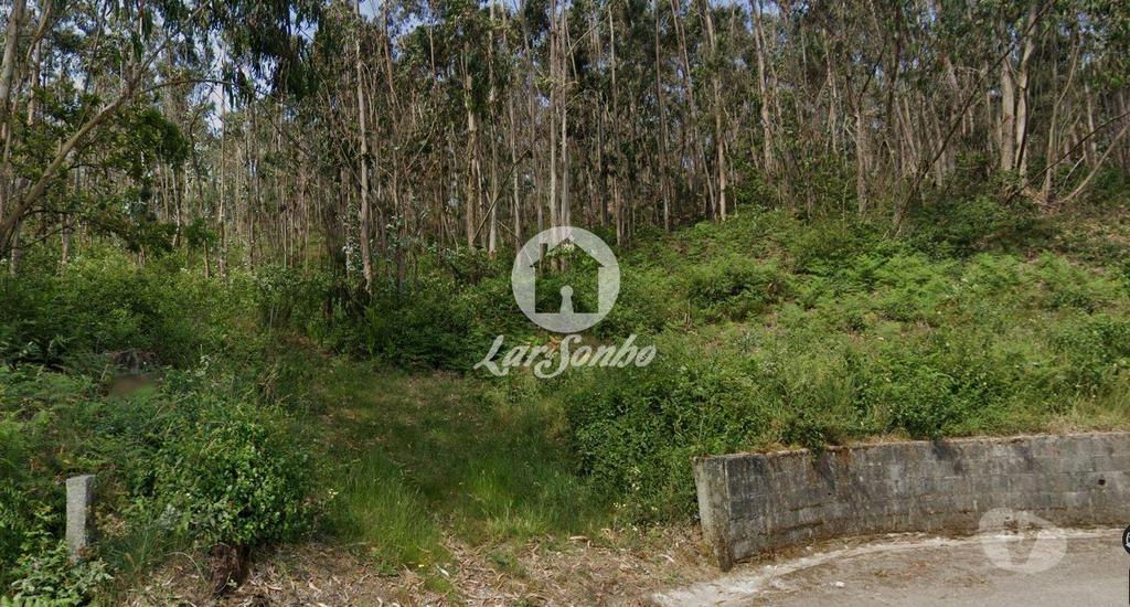 Terrenos Vila Nova de Famalicão - Fotos para Terreno Rústico de 10.684m² no Centro de Vilarinho das Cambas,