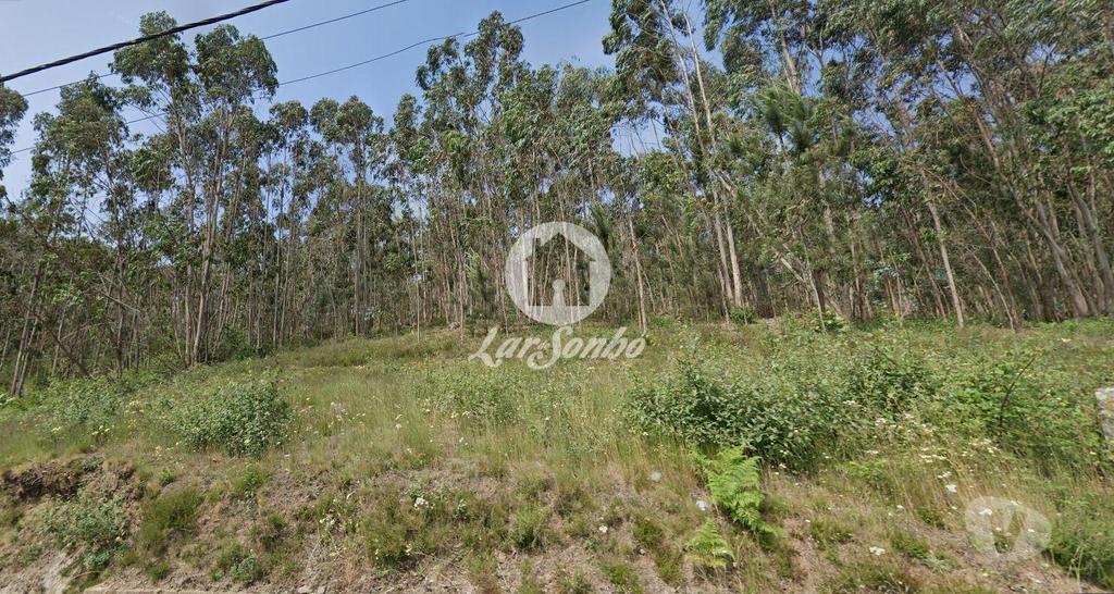 Terrenos Vila Nova de Famalicão - Fotos para Terreno Rústico de 10.684m² no Centro de Vilarinho das Cambas,