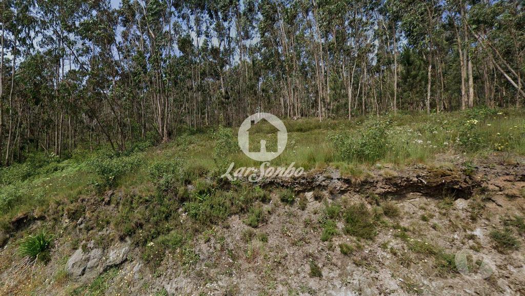 Terrenos Vila Nova de Famalicão - Fotos para Terreno Rústico de 10.684m² no Centro de Vilarinho das Cambas,
