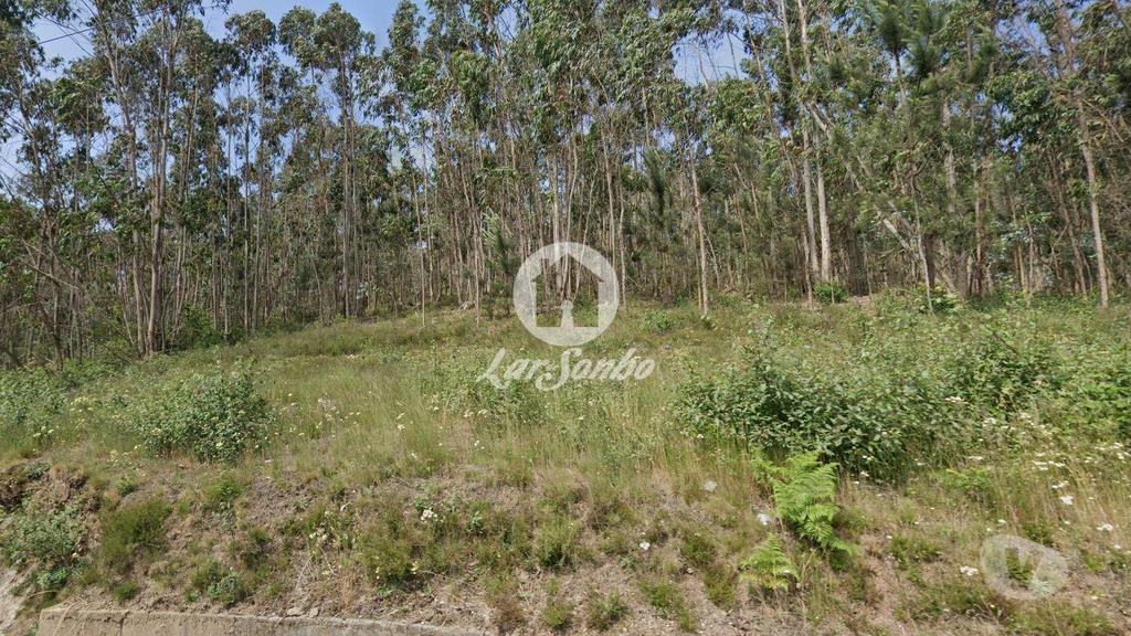 Terrenos Vila Nova de Famalicão - Fotos para Terreno Rústico de 10.684m² no Centro de Vilarinho das Cambas,
