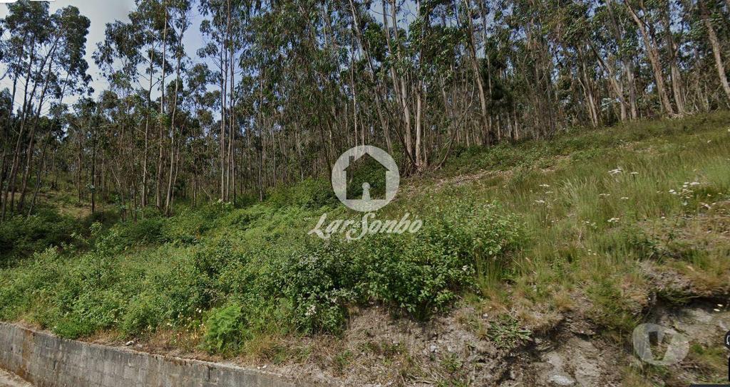 Terrenos Vila Nova de Famalicão - Fotos para Terreno Rústico de 10.684m² no Centro de Vilarinho das Cambas,