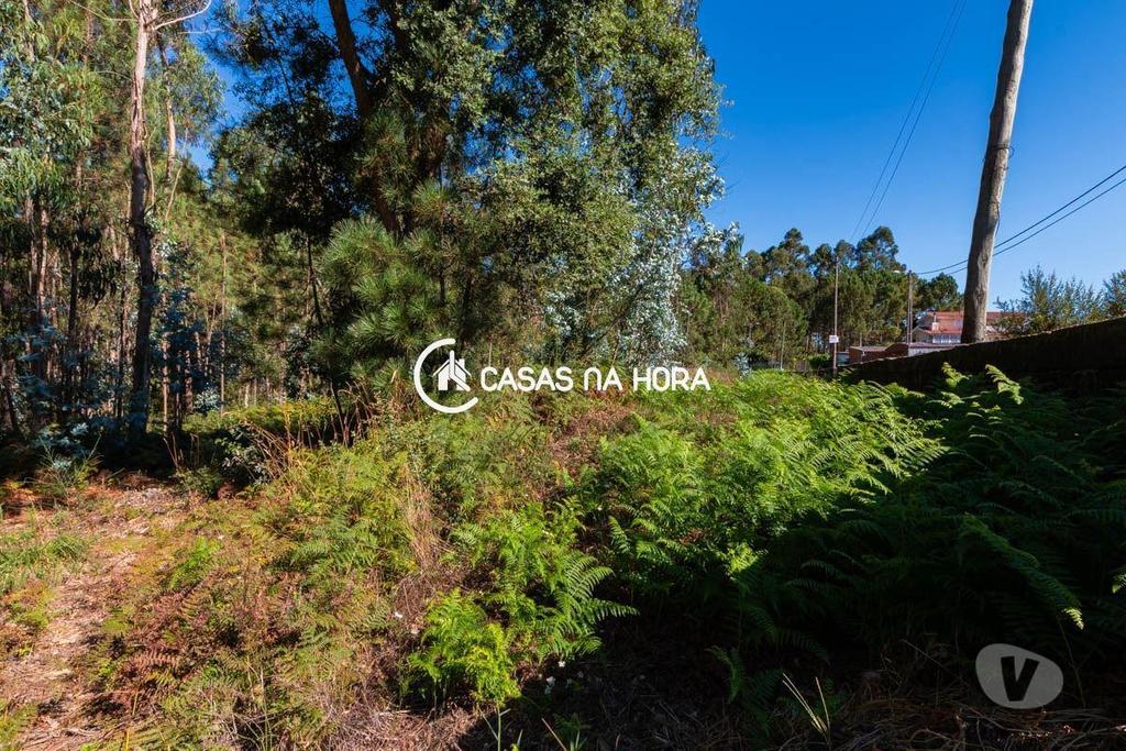 Terrenos Santa Maria da Feira - Fotos para Terreno em Argoncilhe - Santa Maria da Feira (Gaia T 01994)