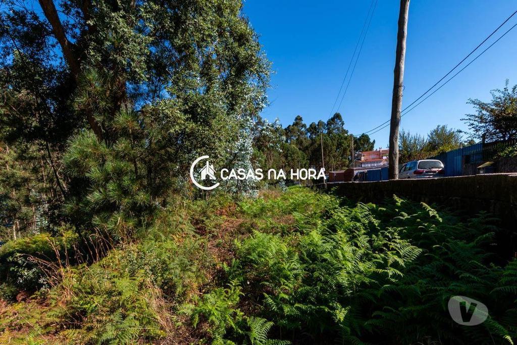 Terrenos Santa Maria da Feira - Fotos para Terreno em Argoncilhe - Santa Maria da Feira (Gaia T 01994)