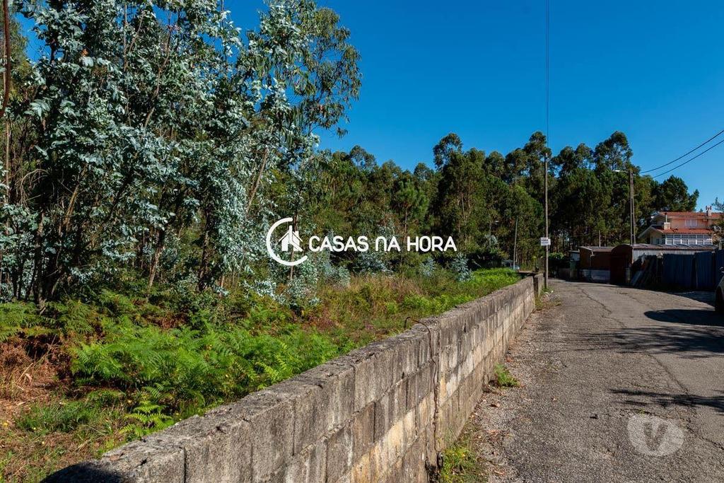Terrenos Santa Maria da Feira - Fotos para Terreno em Argoncilhe - Santa Maria da Feira (Gaia T 01994)