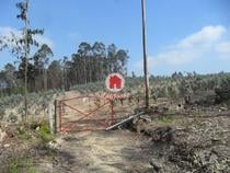 Terreno agrícola de 20.000m2 em Ferreiró, Vila do Conde